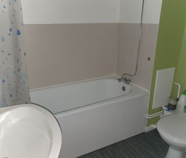 Location Appartement 1 pièce 29m² LILLE 59000 - Photo 5