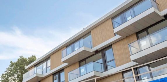 Roerdomplaan - Foto 2