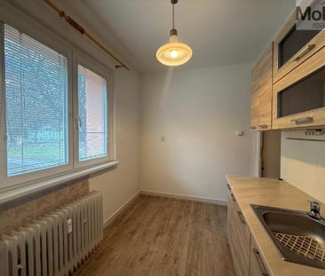 Pronájem bytu 1+1 35 m2 - Photo 4