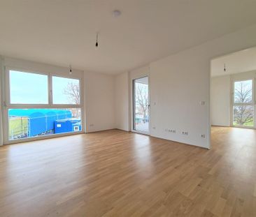 17m² Balkon! Neubauwohnung in der Koloniestraße! Baujahr 2021! - Foto 4