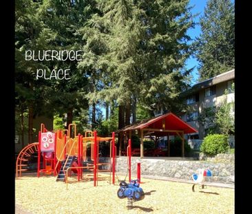 908 Berkley Road - Photo 1