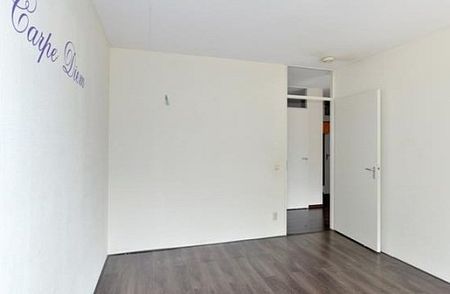 Lotustuin 0ong, 3078 KL Rotterdam, Nederland - Photo 2