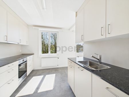 Heimelige und helle 3.5-Zimmer Wohnung in Au SG - Foto 4