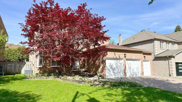 For Lease - 30 Eyer Drive, Markham, Ontario - Photo 1