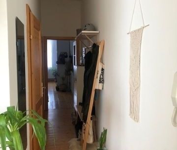 Entzückende Singlewohnung in Krems-Zentrum - Photo 5