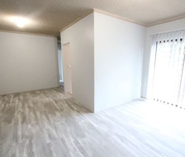 Immaculate 1st Floor Apartment Close to All Amenities - Photo 1