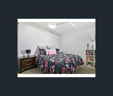 8 Starling Street, Buderim, Qld 4556 - Photo 6
