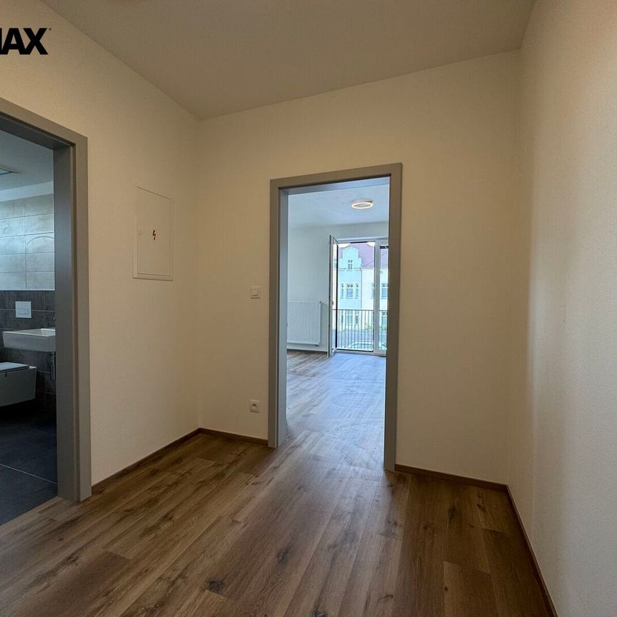 Pronájem bytu 1+kk v osobním vlastnictví 38 m², Dobřany - Fotografie 1