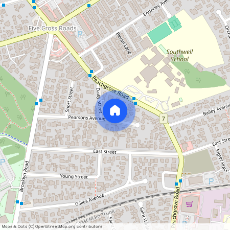 21 Pearsons Avenue, Claudelands