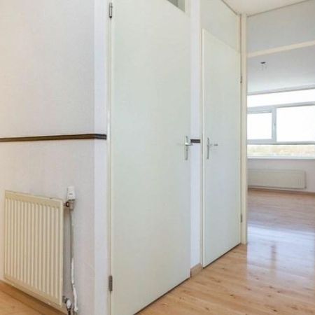 Lepelaarstraat, 2623 Delft, Nederland - Foto 4