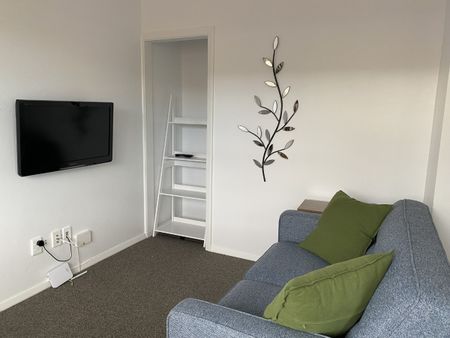 Fully furnished - Close to town on Alexandra Street - Photo 2