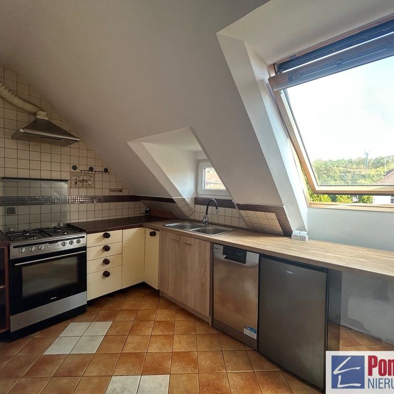 Jasne Błonia, ul. Monte Cassino - Zdjęcie 1