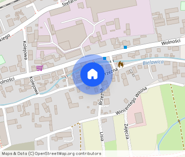 OFERTA WYNAJMU MIESZKANIA – BIELAWA (58-260) - Zdjęcie 1