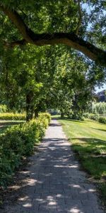Te huur: Appartement P.C. Hooftlaan in Deventer - Foto 4