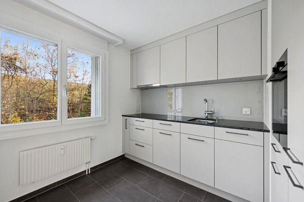 Neu sanierte Wohnung in Thürnen zu vermieten! - Photo 1