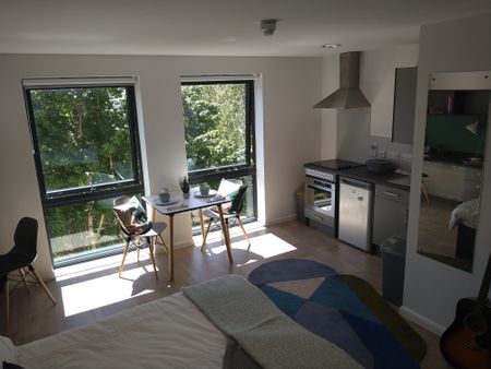 Gold Studio - Photo 2