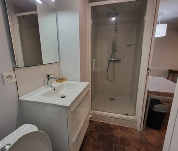 Studio meublé 29m2 - Photo 4