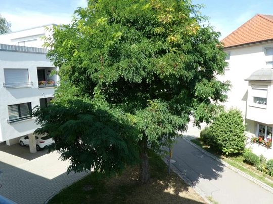 Seniorengerechtes Wohnen am Stadtsee! Sofort verfügbar - Foto 1