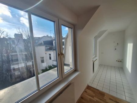 Supersüß und grün und sonnig - Foto 2