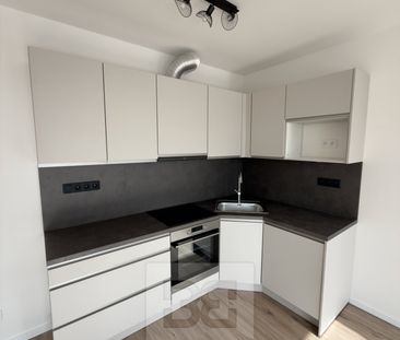 Apartment for rent, 2+kk - 1 bedroom, 47m - Photo 3