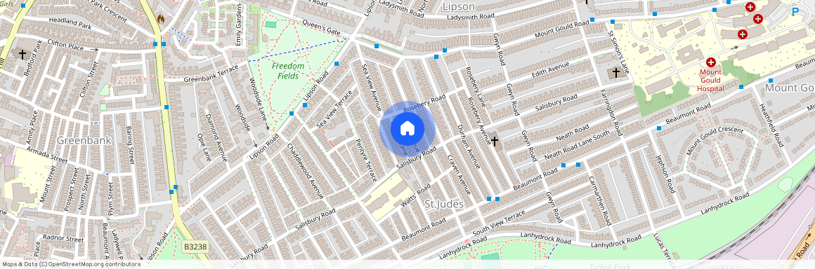 Cecil Avenue (L), St Judes, Plymouth, PL4