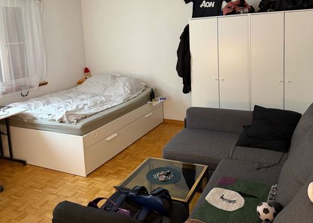ONE-ROOM APARTMENT IN ZURICH – DISTRICT 1 NIEDERDORF, FURNISHED, TEMPORARY - Foto 2