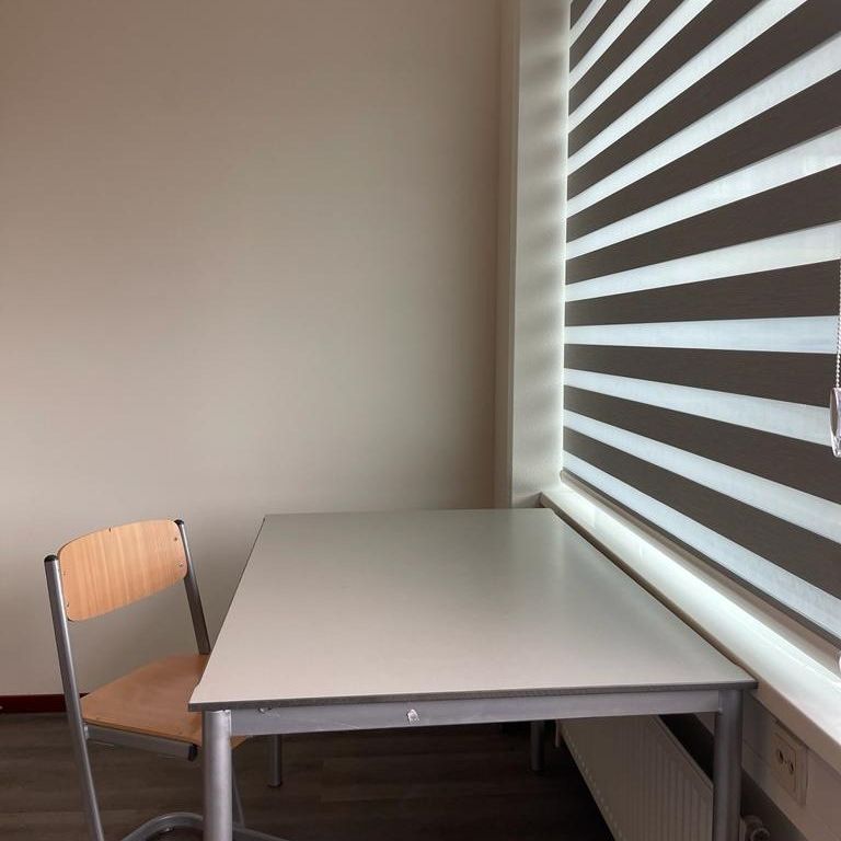 Per direct beschikbaar: Gemeubileerde studio voor (HBO-)studenten in Den Haag - Binckhorst - Photo 1