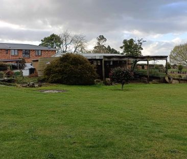 74 Hall Road, RD 2, Hamilton - Photo 4