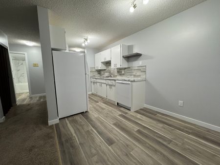 RENOVATED 1-Bedroom Apartment - SMALL PET FRIENDLY! - Photo 2