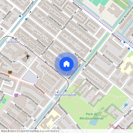 Ribeslaan 6, 3053 MN, Rotterdam