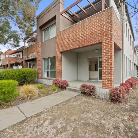 Ground Floor Modern and Spacious Apartment with oversized garden - Photo 2