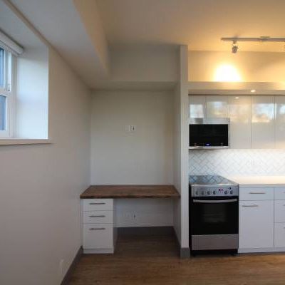 Newly Renovated Studio Apartment - Photo 4