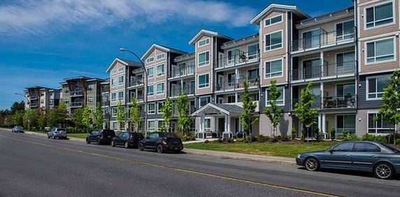 Surface Parking, Bike Storage, In-suite Laundry - Photo 2