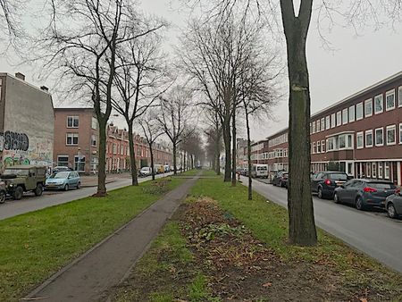 Croeselaan in Utrecht (3521 BR) - Foto 2