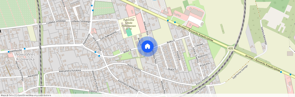 Nowa Wieś Królewska, Opole, opolskie