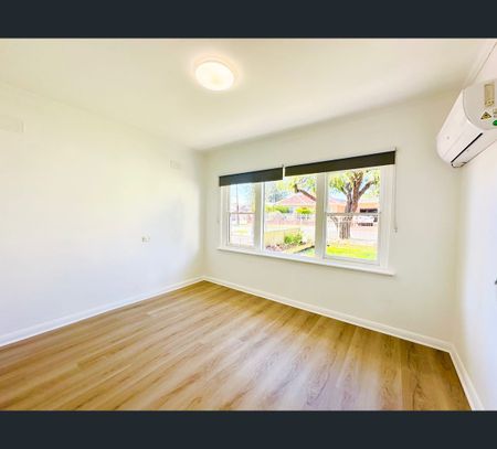 16 Dawn Avenue, Hectorville, SA 5073 - Photo 3