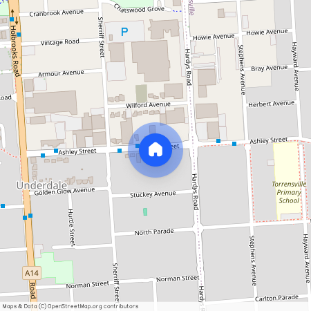 111 Ashley Street, SA 5032, Underdale