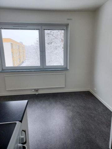 Runebergsgatan 38 - Photo 2