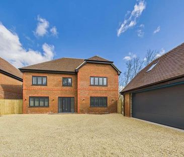 Aldermaston Road, Pamber Green, Tadley, RG26 - Photo 4