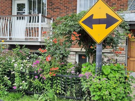 SIMPLE GUIDELINES - Photo 2