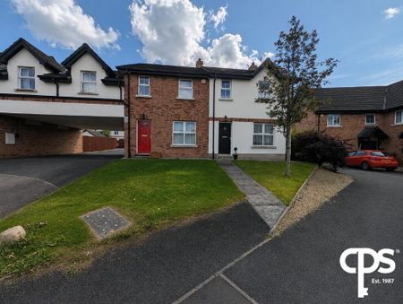 42 Baltylum Meadows, Portadown, BT62 4AB - Photo 4