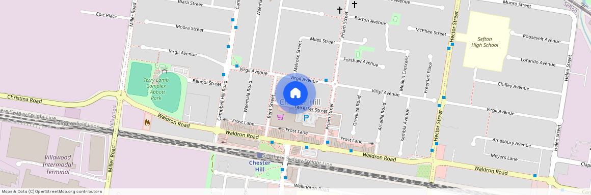 16 Leicester Street, 2162, Chester Hill Nsw