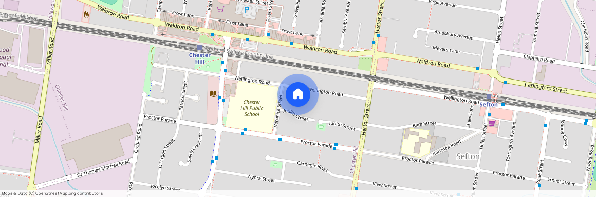 225 Wellington Rd, NSW 2162, Chester Hill