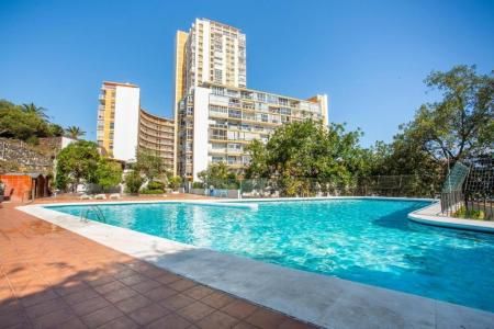Flat - Puerto de La Cruz (Centrico) - Photo 5