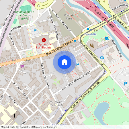 022 RUE ARLETTE REMIA-COUDRON, 51100, Reims