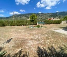 Μεζονέτα για ενοικίαση - Αράχωβα, - Photo 3