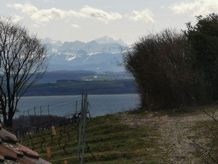 Loft moderne et rénové à Bôle avec charme, vue et ensoleillement - Photo 2
