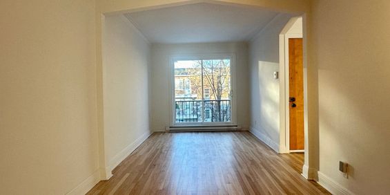 Appartement Montréal (Rosemont/La Petite-Patrie) � Louer - Photo 3