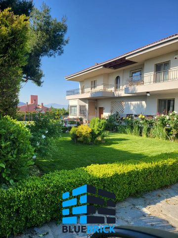 Μονοκατοικία για ενοικίαση - Κρυονέρι, - Photo 5