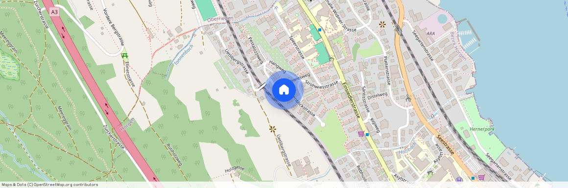 Alpenblickstrasse 81, 8810 Horgen, Alpenblickstrasse 81